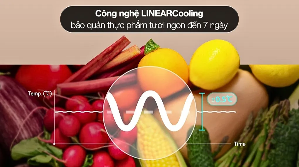 Tủ lạnh LG 607 lít LFD61BLGA