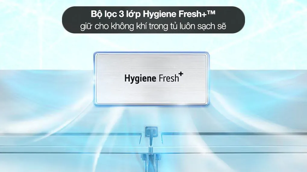 Tủ lạnh LG 607 lít LFD61BLGA