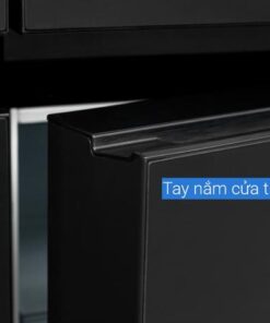Tủ lạnh LG 617L LFB61BLGAI