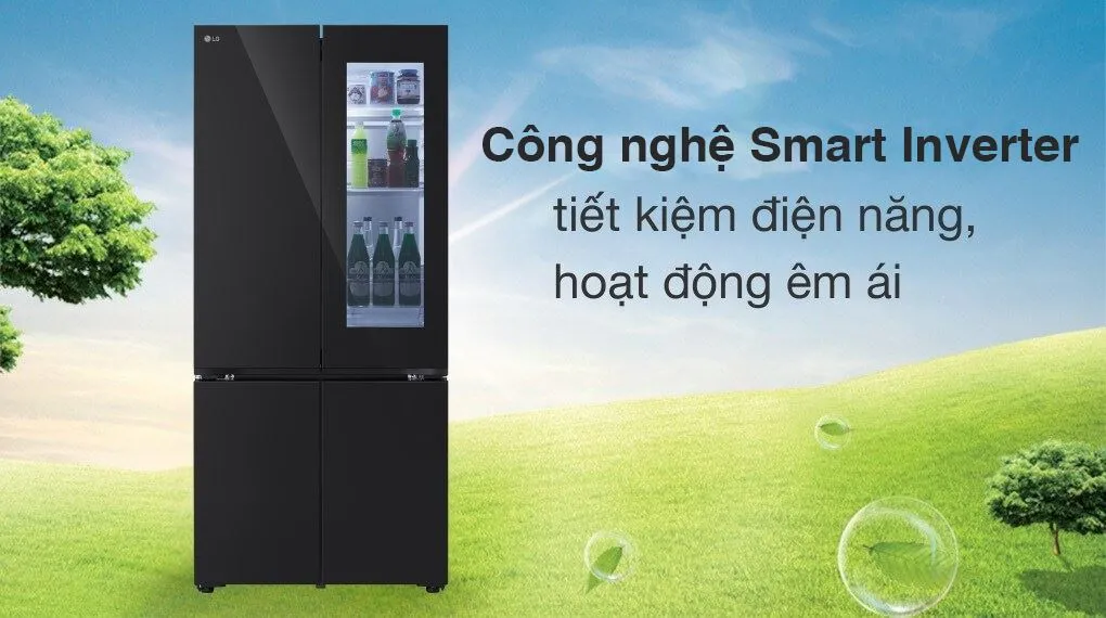 Tủ lạnh LG 617L LFB61BLGAI